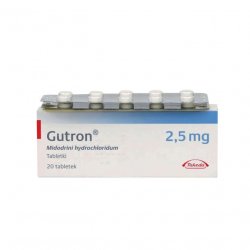 Гутрон таблетки 2,5 мг. №20 в Чебоксарах и области фото